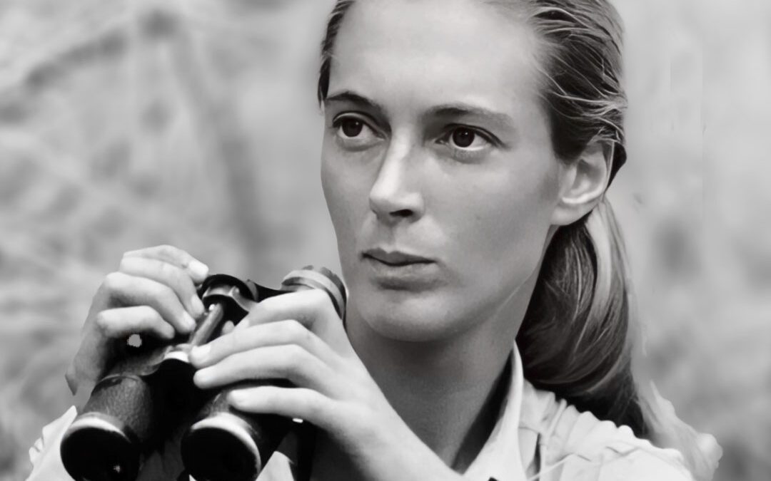 Jane Goodall Profile