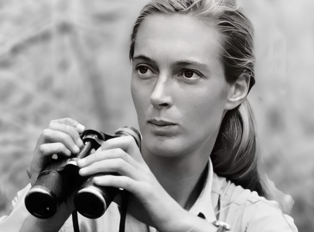 Carolyn Mary Kleefeld – Jane Goodall Profile by David Jay Brown