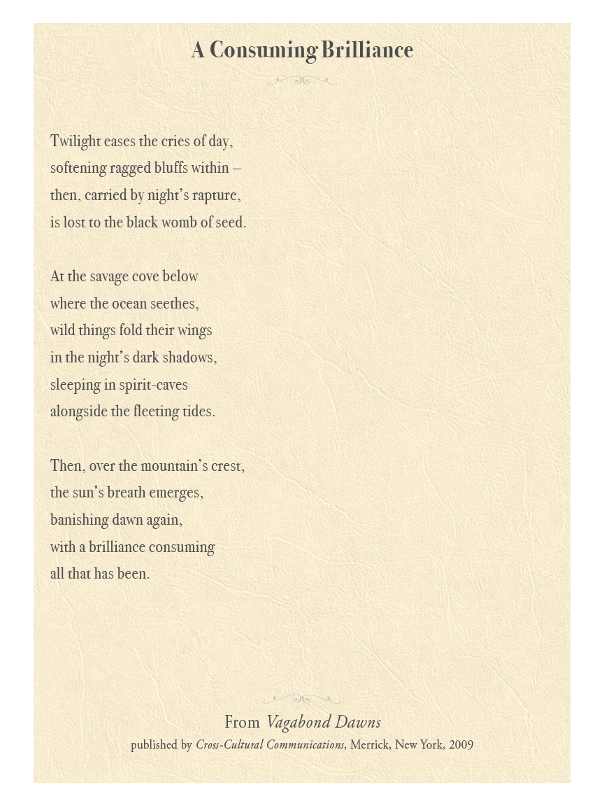 The Consuming Brilliance Carolyn Mary Kleefeld | Poet: The Consuming Brilliance