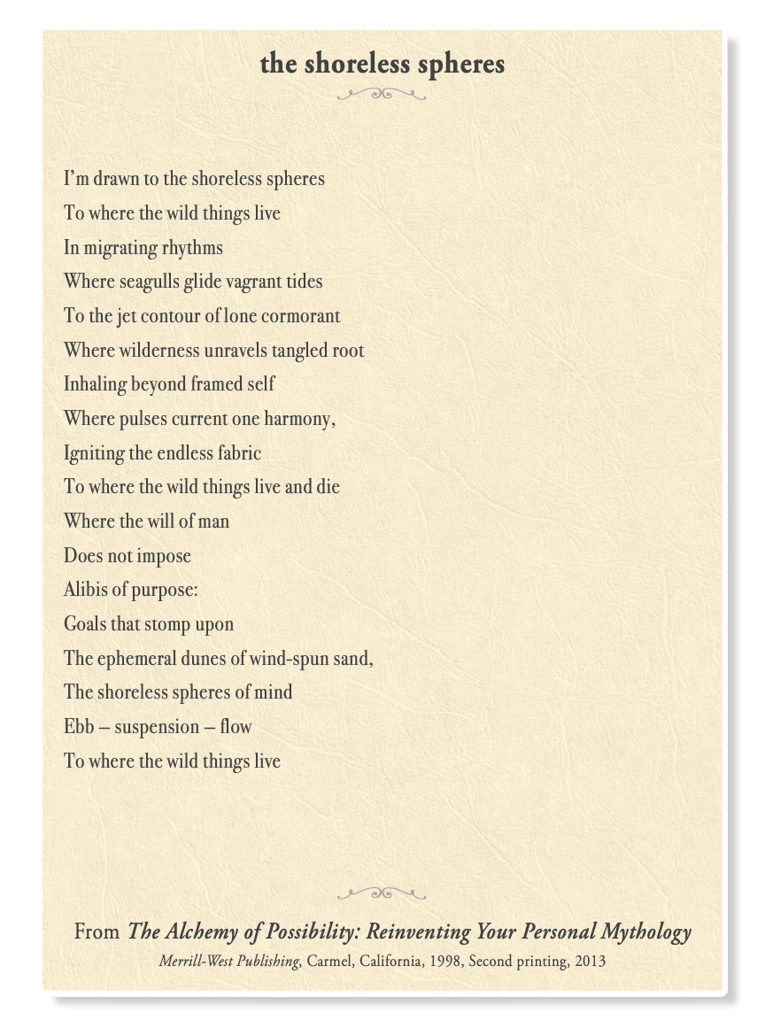 Carolyn Mary Kleefeld | Poet: The Shoreless Spheres
