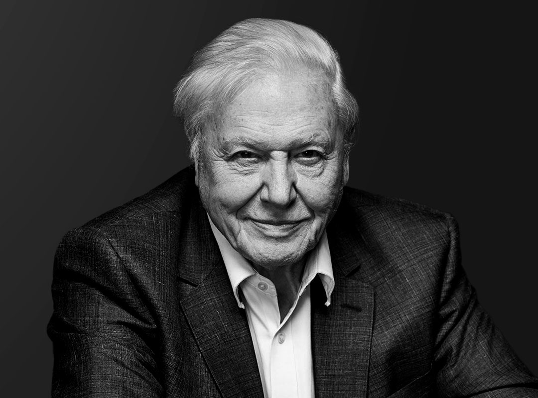Carolyn Mary Kleefeld | David Attenborough